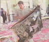 image\eventpic\SindhMadressa\small\ummat16.jpg